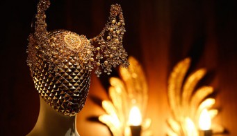Выставка 2015- Alexander McQueen: Savage Beauty